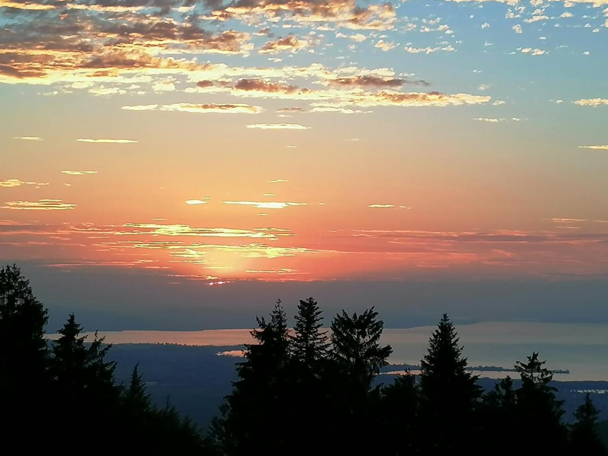 Ferienwohnung Brittenberg Alpaka Schwarzenberg im Bregenzerwald Esterno foto