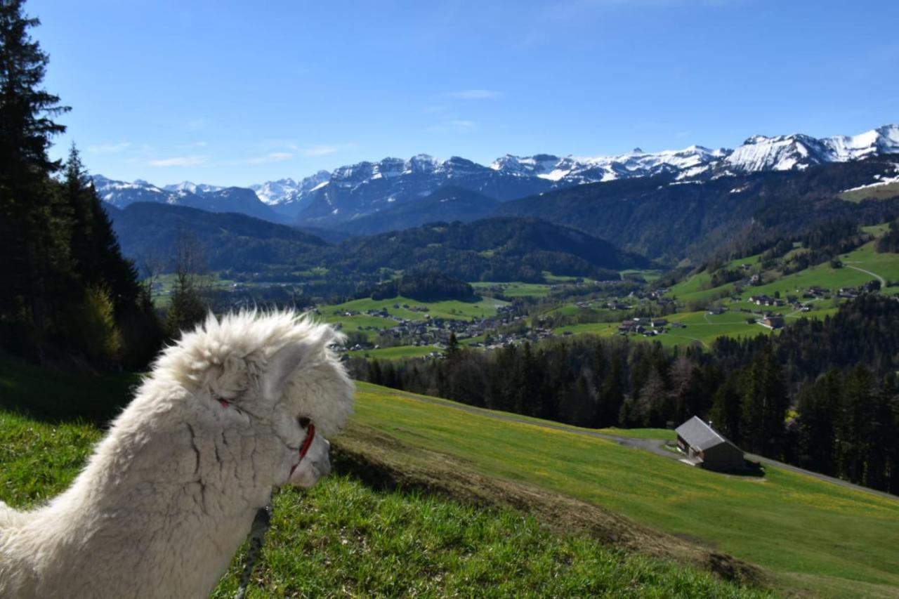 Ferienwohnung Brittenberg Alpaka Schwarzenberg im Bregenzerwald Esterno foto